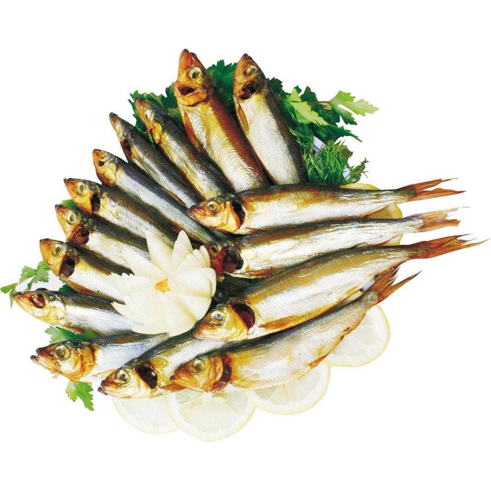 Что за рыба салака: описание, польза и вред, калорийность