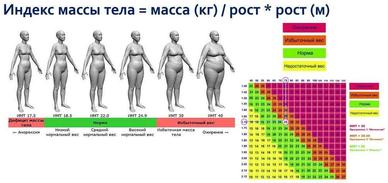 Как набрать массу тела? комплексная программа по повышению веса для людей с недостатком массы тела (5-6 неделя).  :: polismed.com