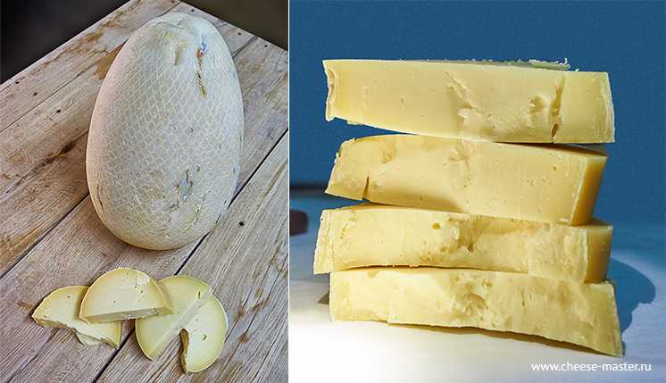 Моцарелла: калорийность сыра на 100 г, состав, бжу, польза и вред