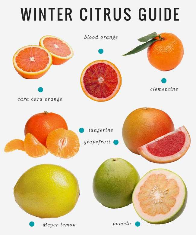Грейпфрут: что это за фрукт, состав, польза, вред, как правильно есть
