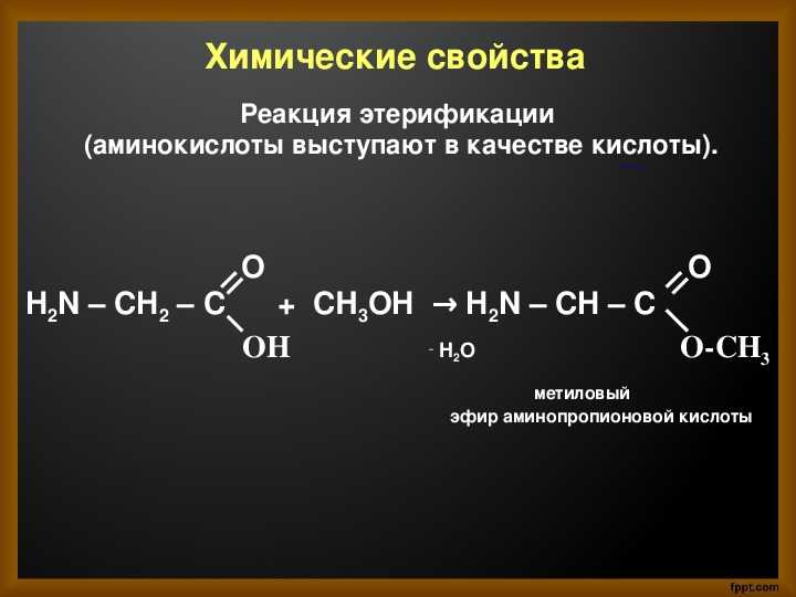 Пищевые добавки, запрещенные к применению в рф | здорова-narod.ru
