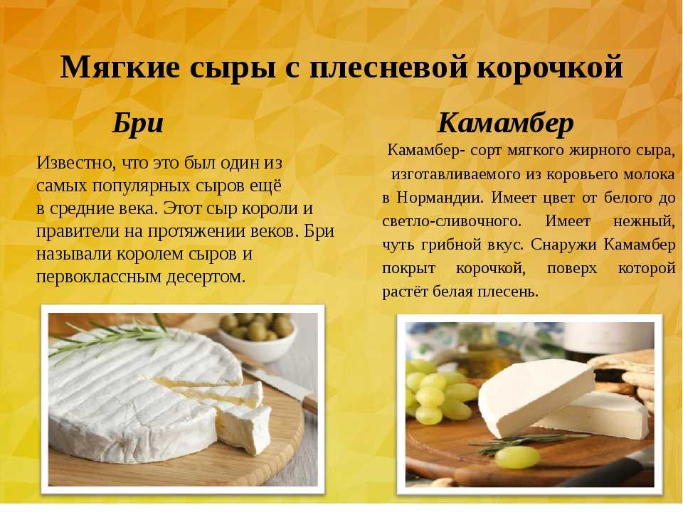 Описание сыров с картинками