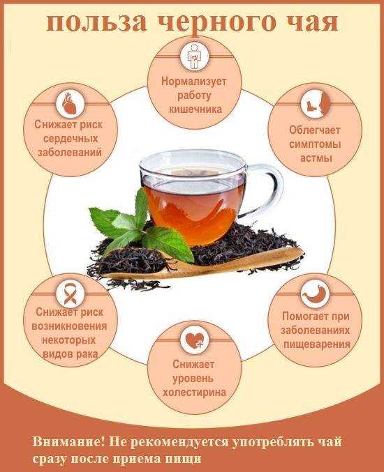 Полезные свойства чая, химический состав чая | волшебная eда.ру