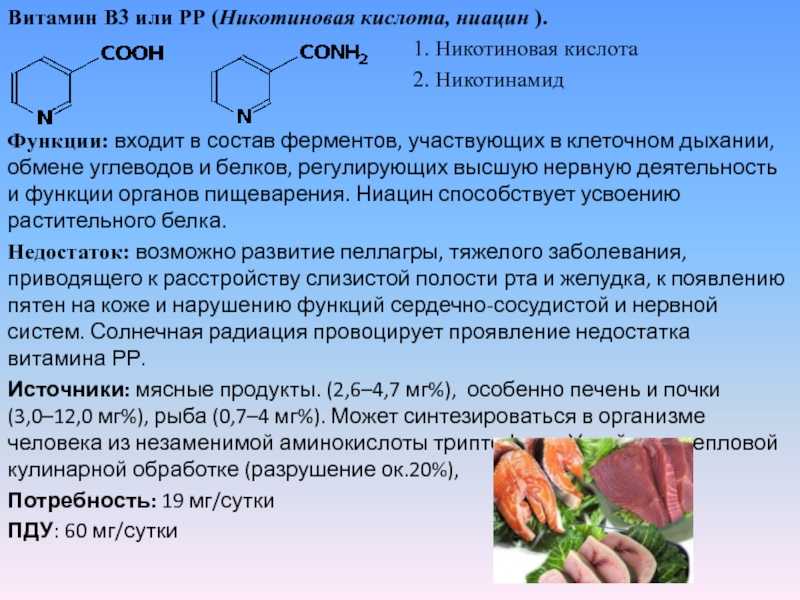 Водорастворимые витамины характеристика список их роль для организма человека