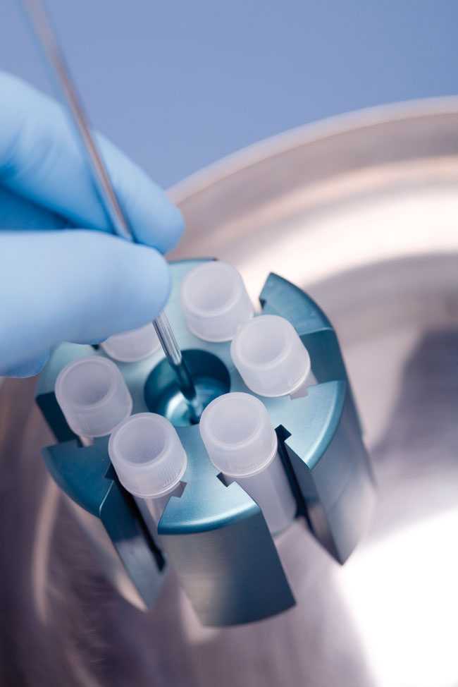 Применение методов криоконсервации эмбрионов в программах вспомогательных репродуктивных технологий » библиотека врача