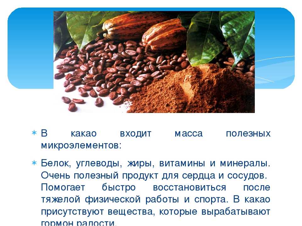 Какао: польза и вред бобов и порошка, химический состав зерен, применение в косметологи и медицине