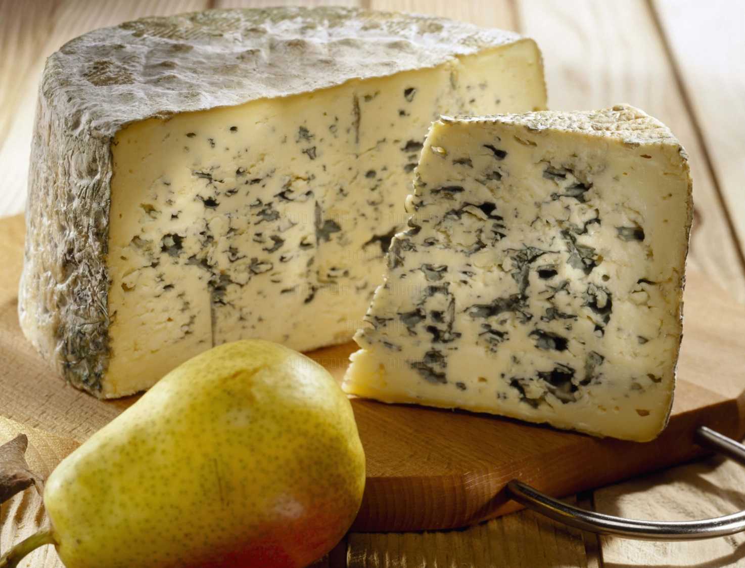 Сыр с плесенью - виды и названия, польза и вред, рецепты приготовления блюд с фото