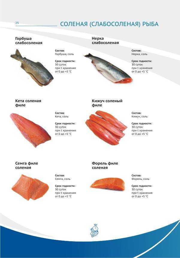 Чем полезен лосось и как его готовить