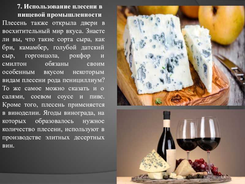 Дор блю (dorblu, дорблю) — сыр с голубой плесенью: польза, калорийность, с чем едят. 6 рецептов блюд с голубым сыром