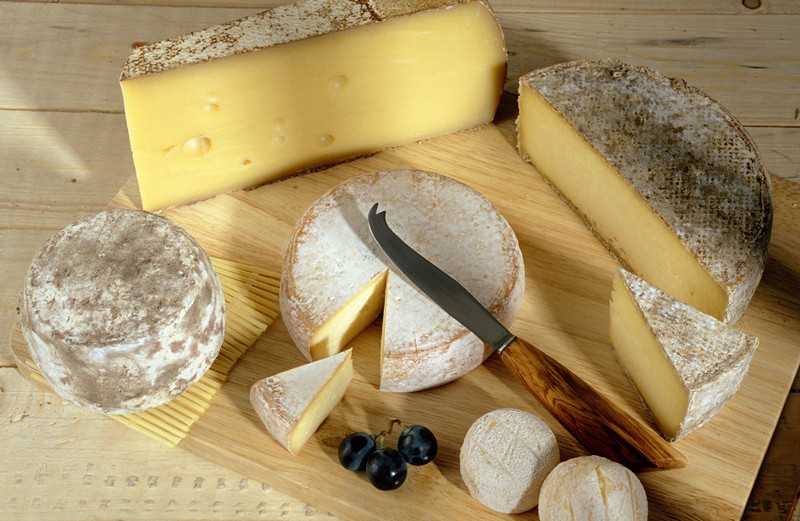 Рекомендации по производству сыра