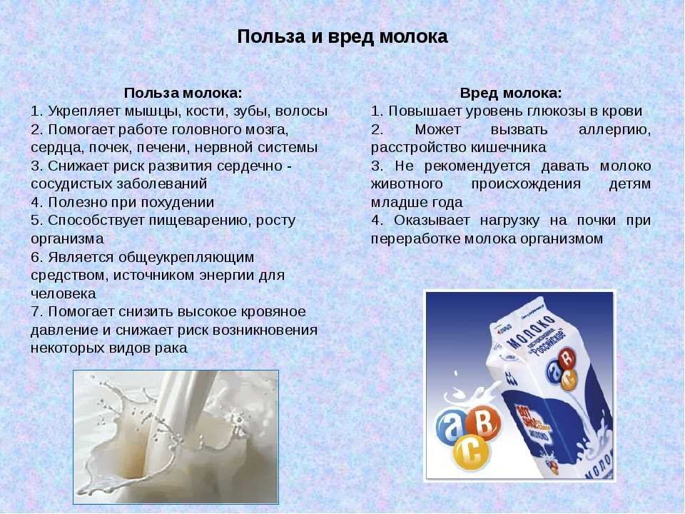 Содержание крс | состав молока