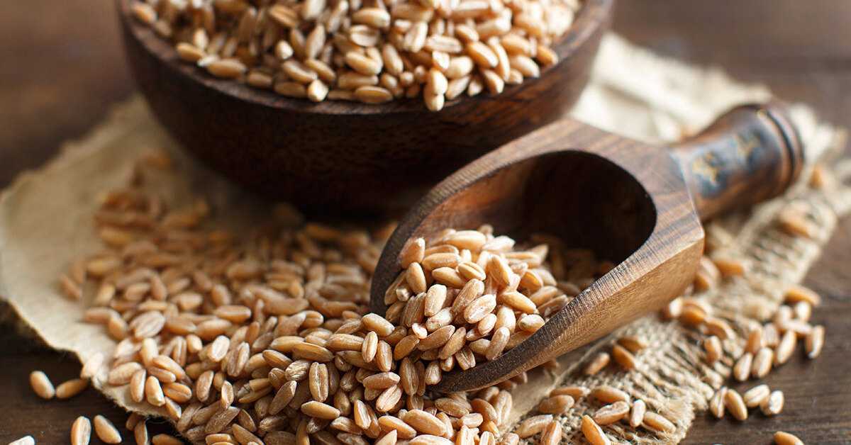 Пшеничные слайсы, их польза и вред: калорийность 1 штуки, можно ли употреблять их для похудения, состав хлебцев и их гликемический индекс