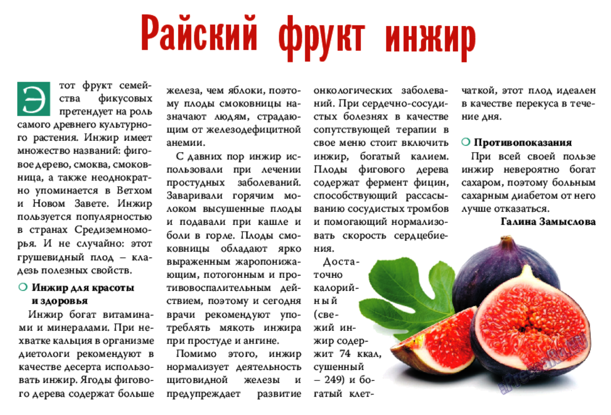 Инжир: польза и вред фрукта, каков на вкус, как едят, рецепты