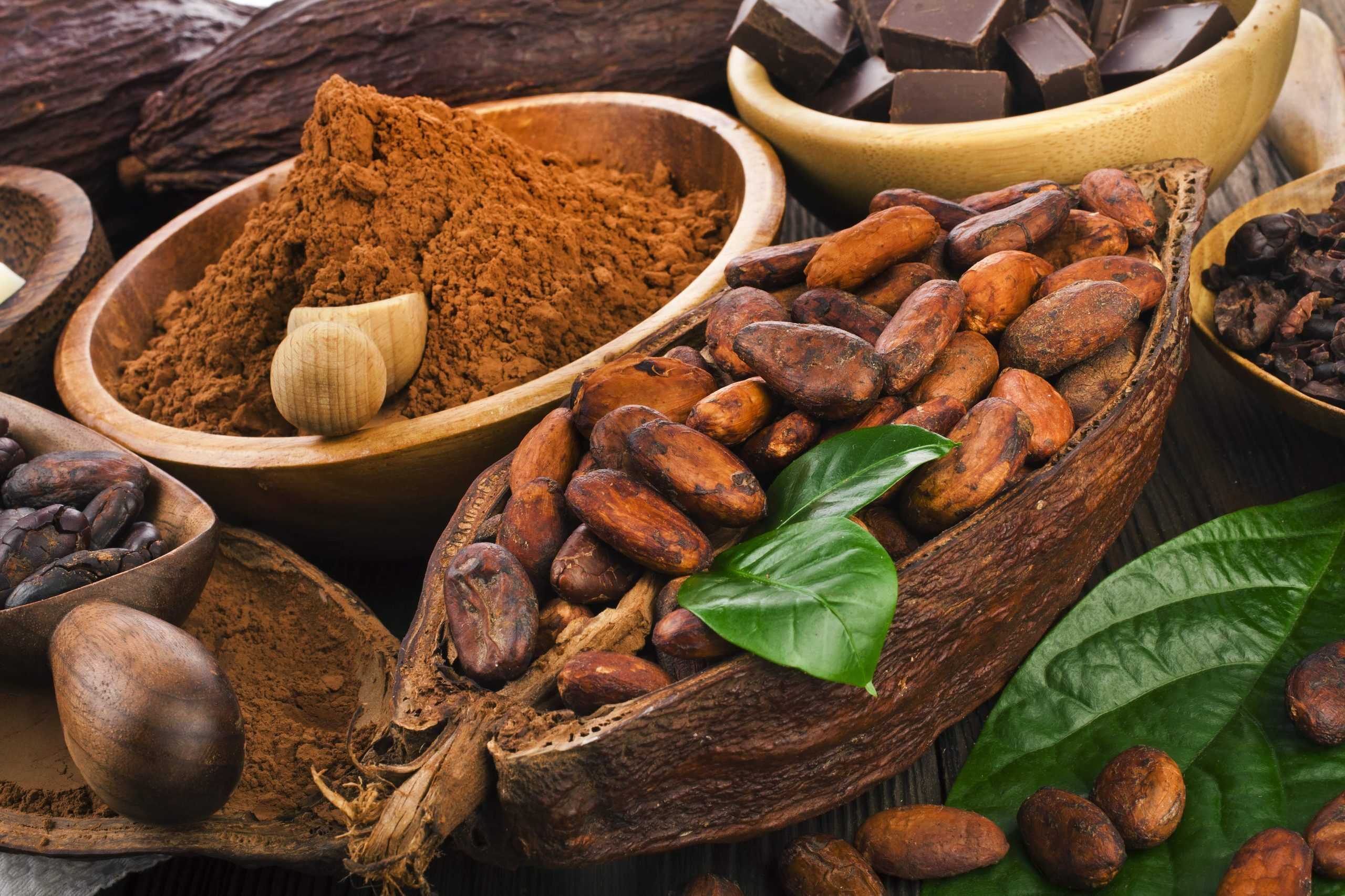 Калорийность какао: бобов, порошка, масла, блюд - похудейкина
