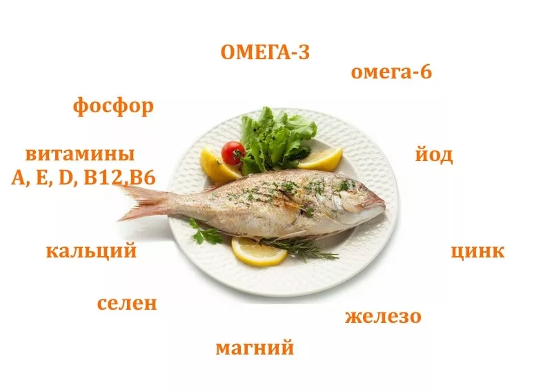 Минтай – химический состав рыбы, польза и вред для организма