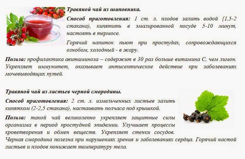 Адаптогенные и другие полезные свойства шиповника: как правильно приготовить отвар из сухих плодов